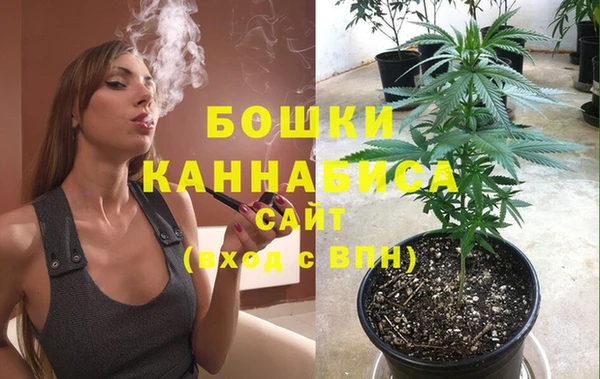 mdma Заводоуковск