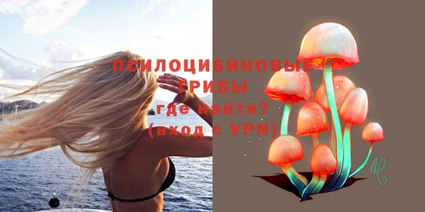 mdma Заводоуковск
