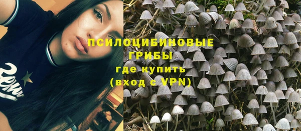 ешки Заволжск