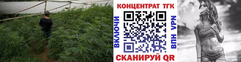 Купить закладки Новокузнецк ТГК THC oil